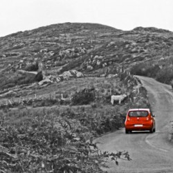 The Little Red Car - black & white
